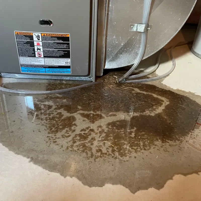 Appliance Leak Cleanup in Green Valley Farms, TX