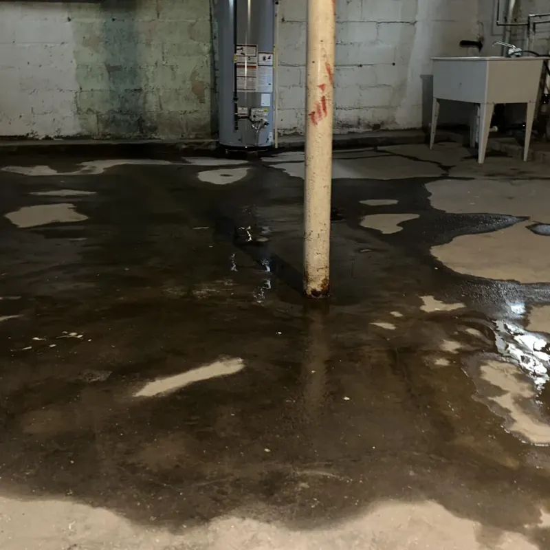 Emergency Water Extraction And Removal in Green Valley Farms, TX